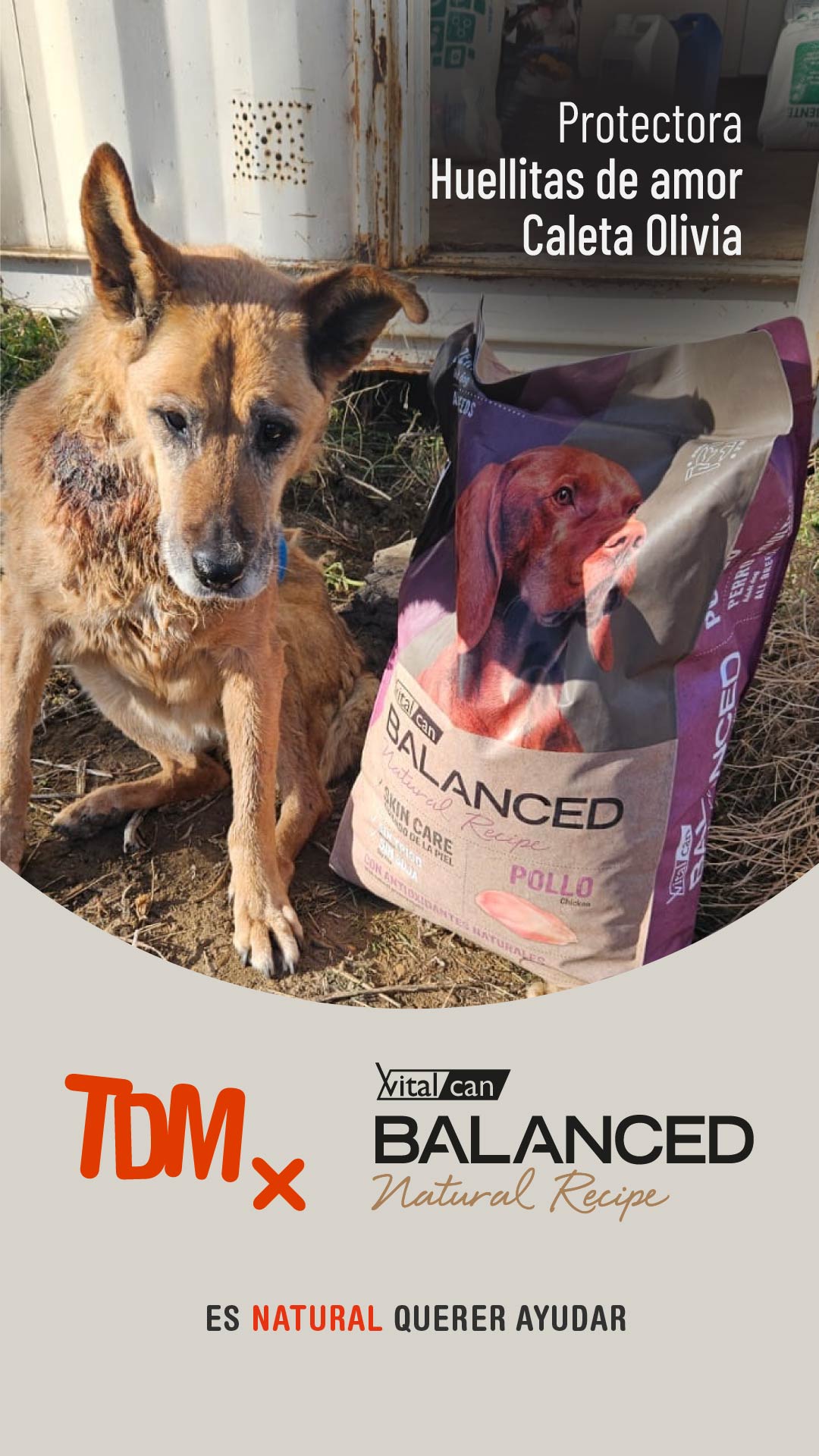 Acciones con Proteccionistas