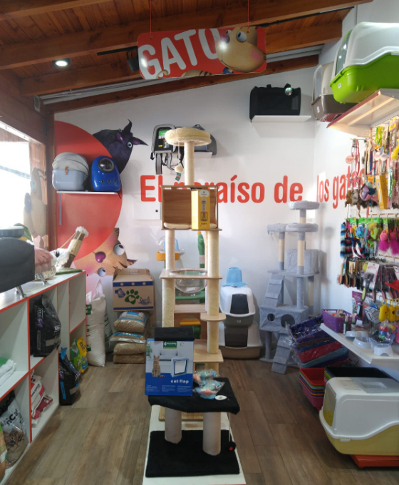 El Paraíso del Gato