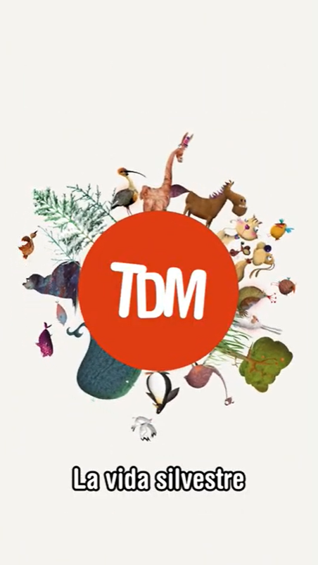 Video Dia Mundial de la Vida Silvestre