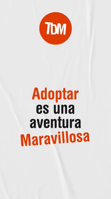 Video Adoptá un Perro Mestizo